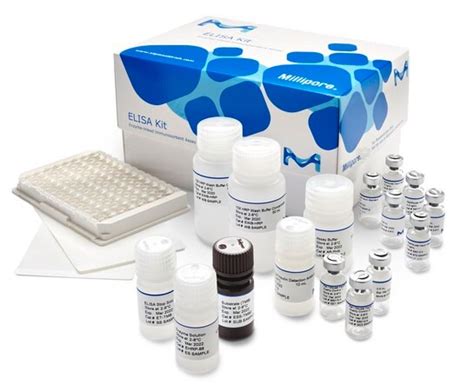 Human ANA ELISA Kit (Colorimetric) 